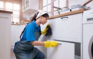 pest control prices