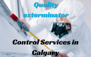 Quality exterminator Control Services in Calgary