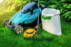 Tree Care Services