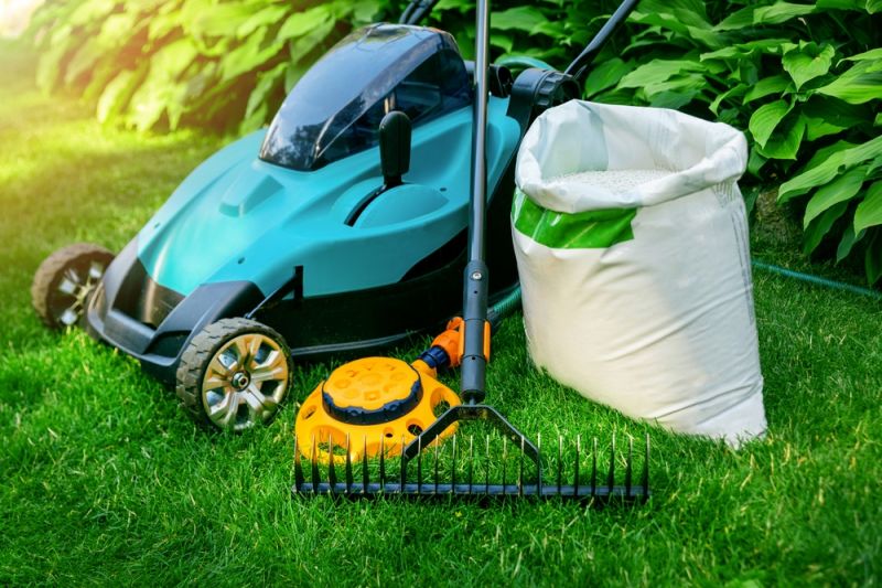 Tree Care Services