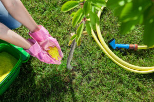 lawn care regina