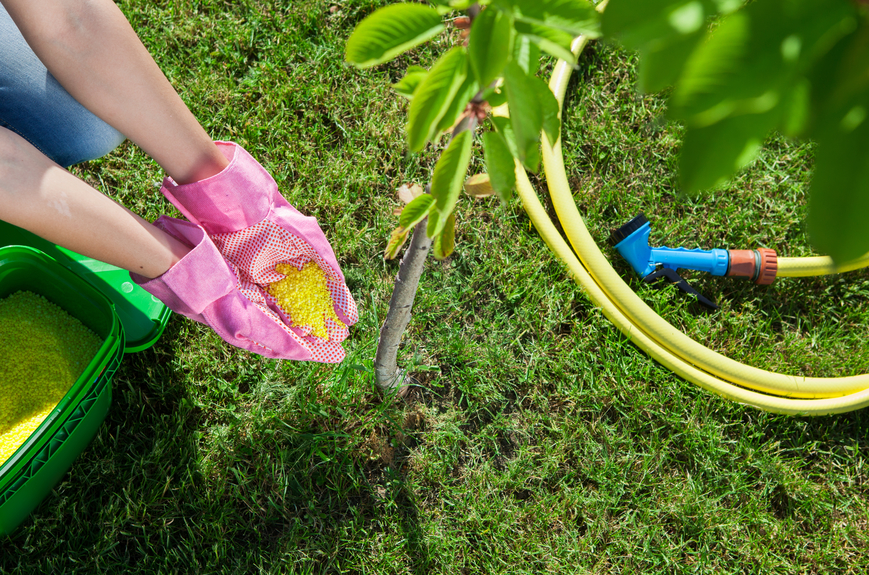 lawn care regina