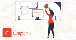 craft CMS developer