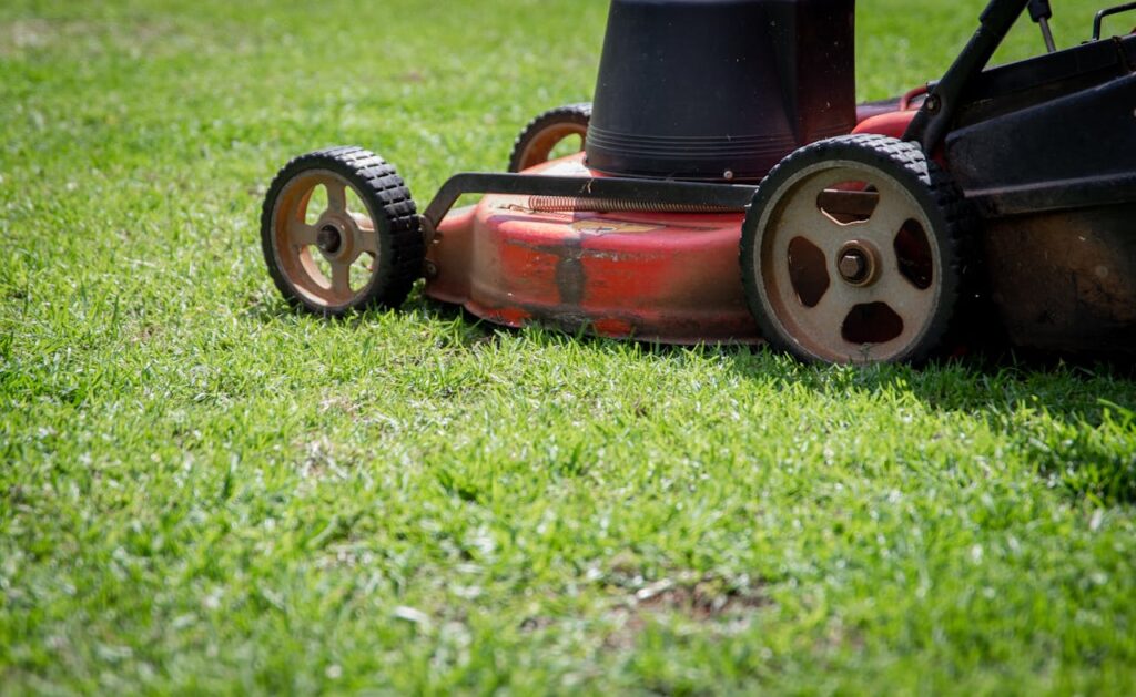 weed control in Saskatoon