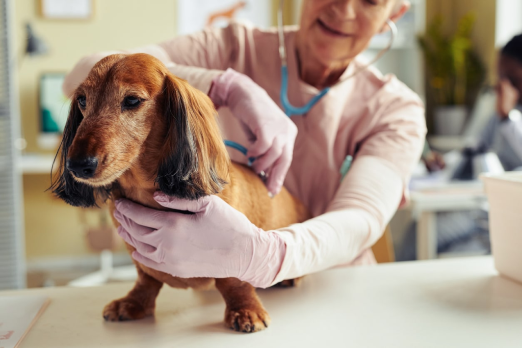 veterinary hospital